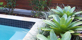 Poolscapes landscaping on the Gold Coast